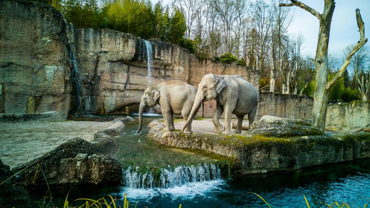 慶應義塾ニューヨーク学院の生徒が動物園へ！